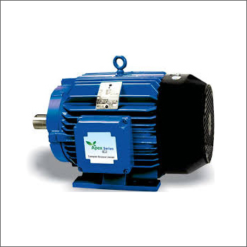 Cg Ac Electric Motor Warranty: 1 Year