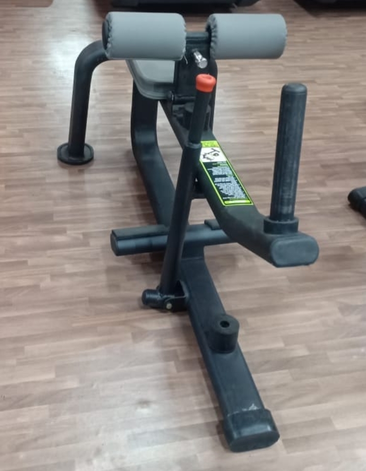 Seated Calf Raise Machine Application: Endurance