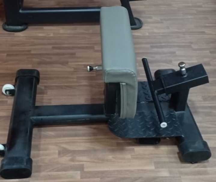 Sissy Squat Machine Application: Endurance