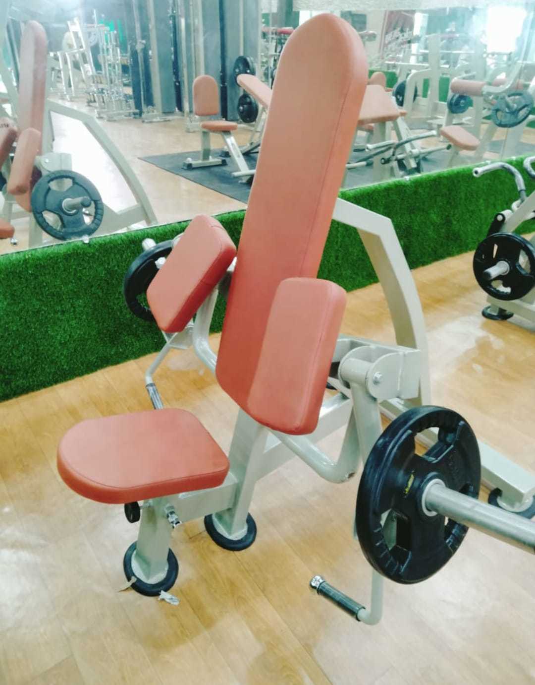 Plate Loaded Biceps Curl Machine Application: Tone Up Muscle