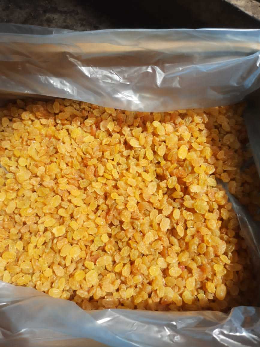 Raisins Golden Grade: Grade Aaa