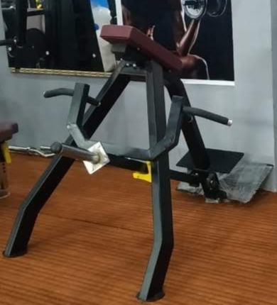 Standing T Bar Application: Endurance