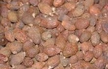 Brown Boat Fruited Sterculia Extract