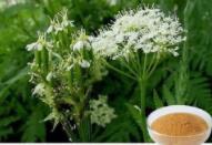 Commiphora Myrrha Extract