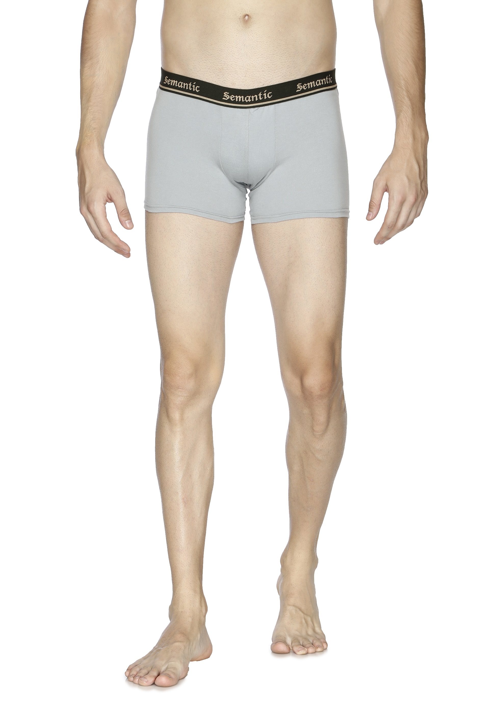 Semantic Cotton Light Grey Trunks - Solid - Age Group: 18 Above