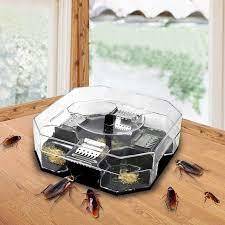 Cockroach Trap Box, Cockroach Catcher