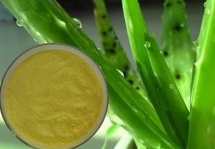 Yellow Aloe Vera Extract