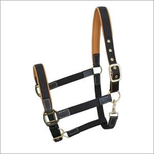 चमड़े की हॉल्टर