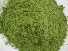 Green Barley Grass