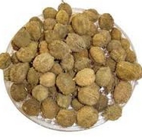 Fructus Amomi Extract