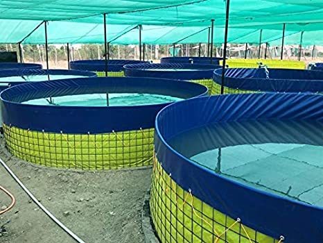 Megatex 450 Gsm Pvc Biofloc Fish Tank 5x1.2 Mtr