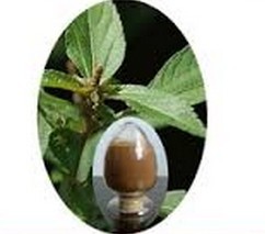 Brown Dahurian Patrinia Extract