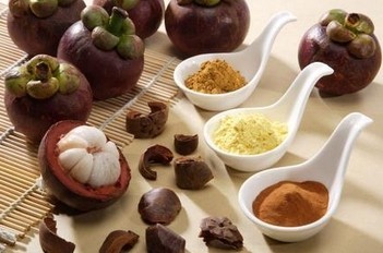 Mangosteen extract
