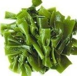 Kelp Extract - Green Algae Concentrate | Nutrient-Rich, Sustainable Source