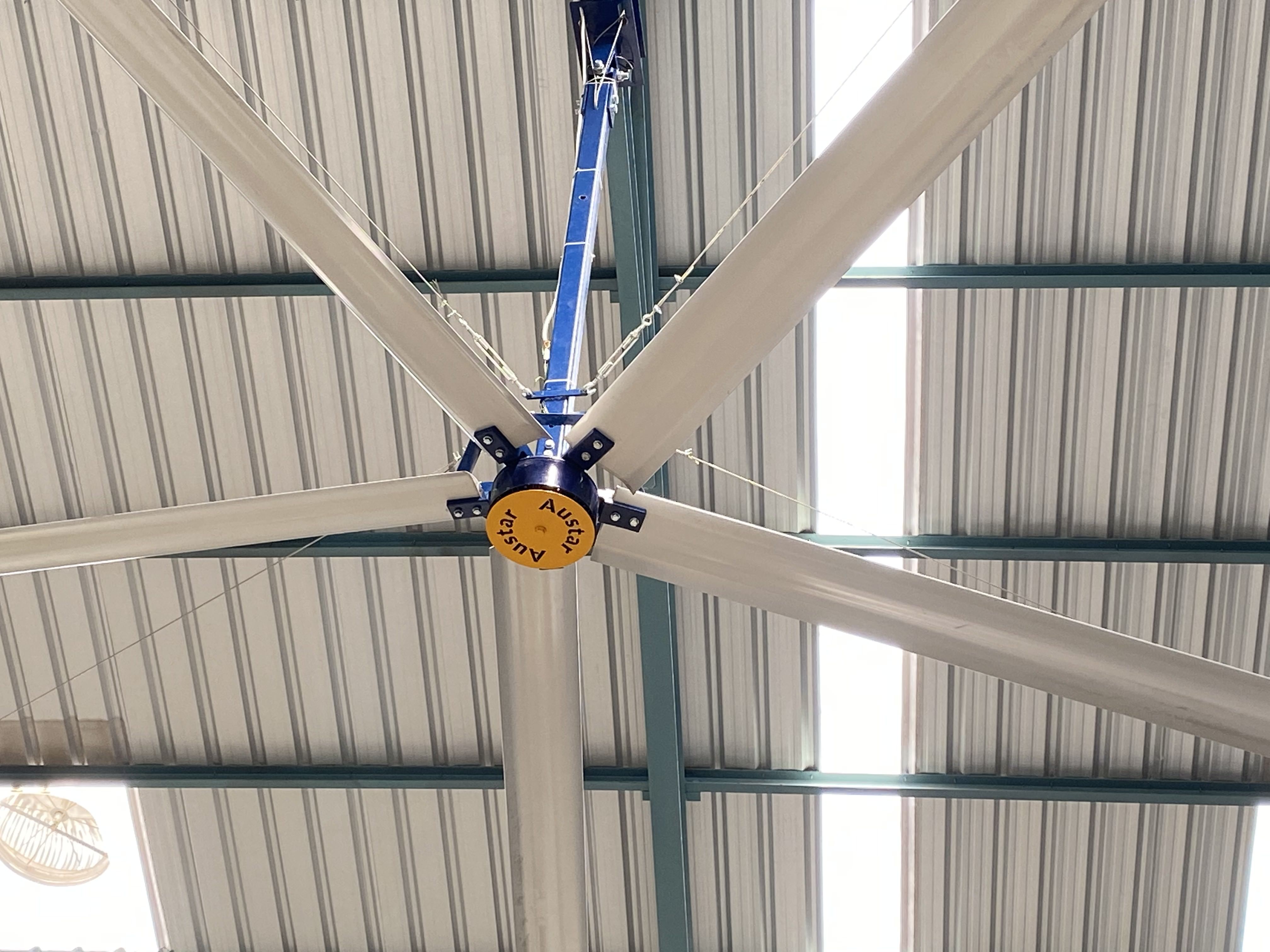 Hvls Fan Installation Type: Ceiling