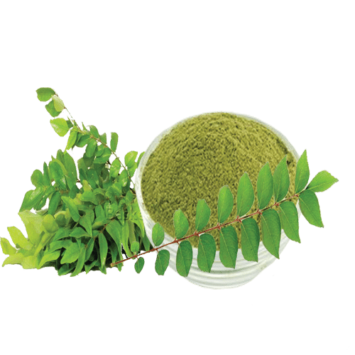 Curry Leaf Powder