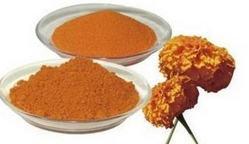 Brown Marigold Extract