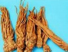 Angelica extract