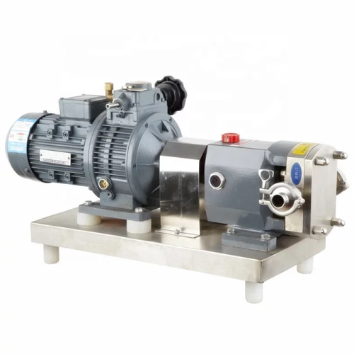Rotary Lobe Pumps Manufacturers In Delhi