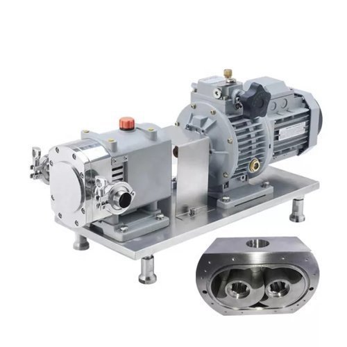 Rotary Lobe Pumps Manufacturers In Delhi