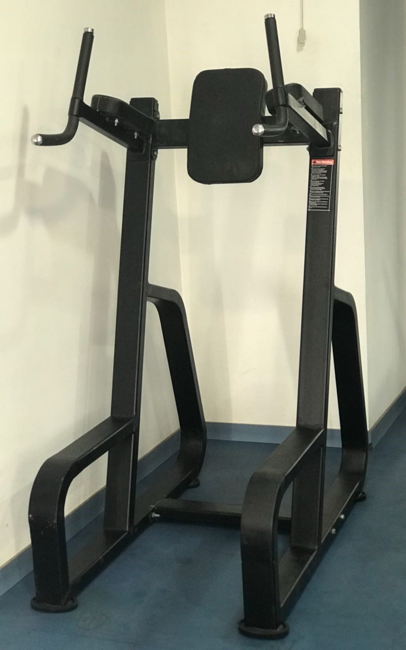 Vertical Knee Raise Application: Endurance