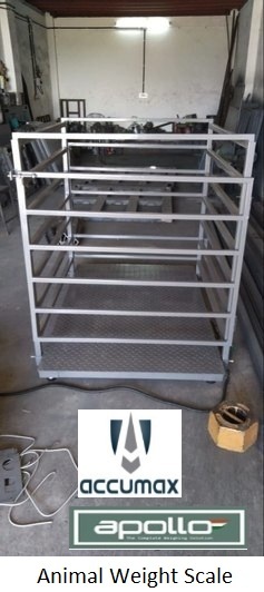 Animal Scale - Premium Quality Design, 10 Gm Accuracy, 10 Gm To 5 Ton Capacity, Versatile Bench Scale With Customization Options, 1-year Warranty