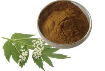 Valeriana Officinalis Extract - Brown Powder | Sedative Effects for Relaxation, Sleep Aid, and Anxiety Relief