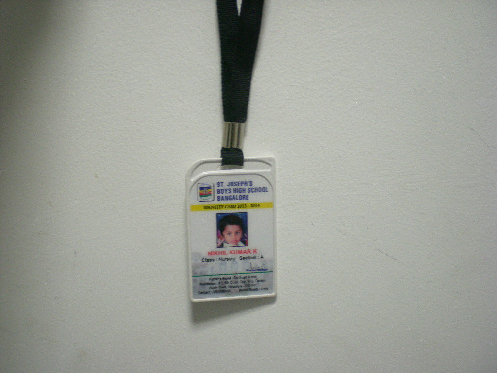 School Id Cards - Color: Multi Color