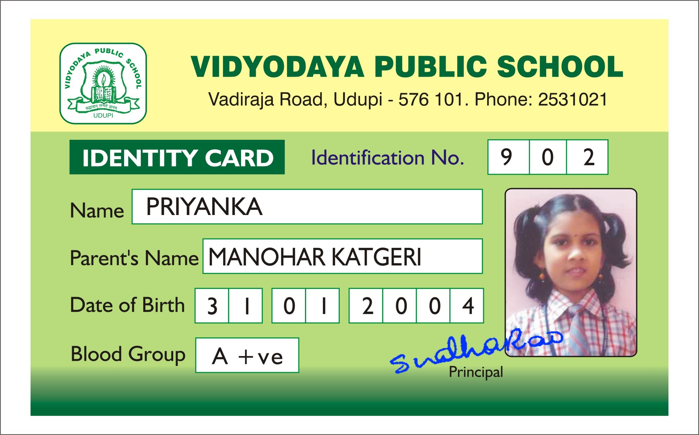 School Id Cards - Color: Multi Color