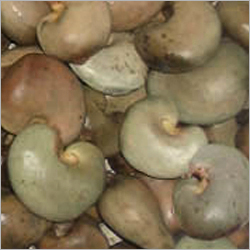 कच्चे काजू