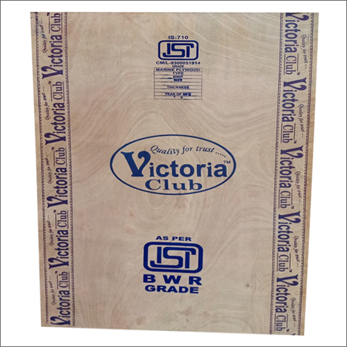 Oscar Mr Grade Plywood Size: As Per Requirement