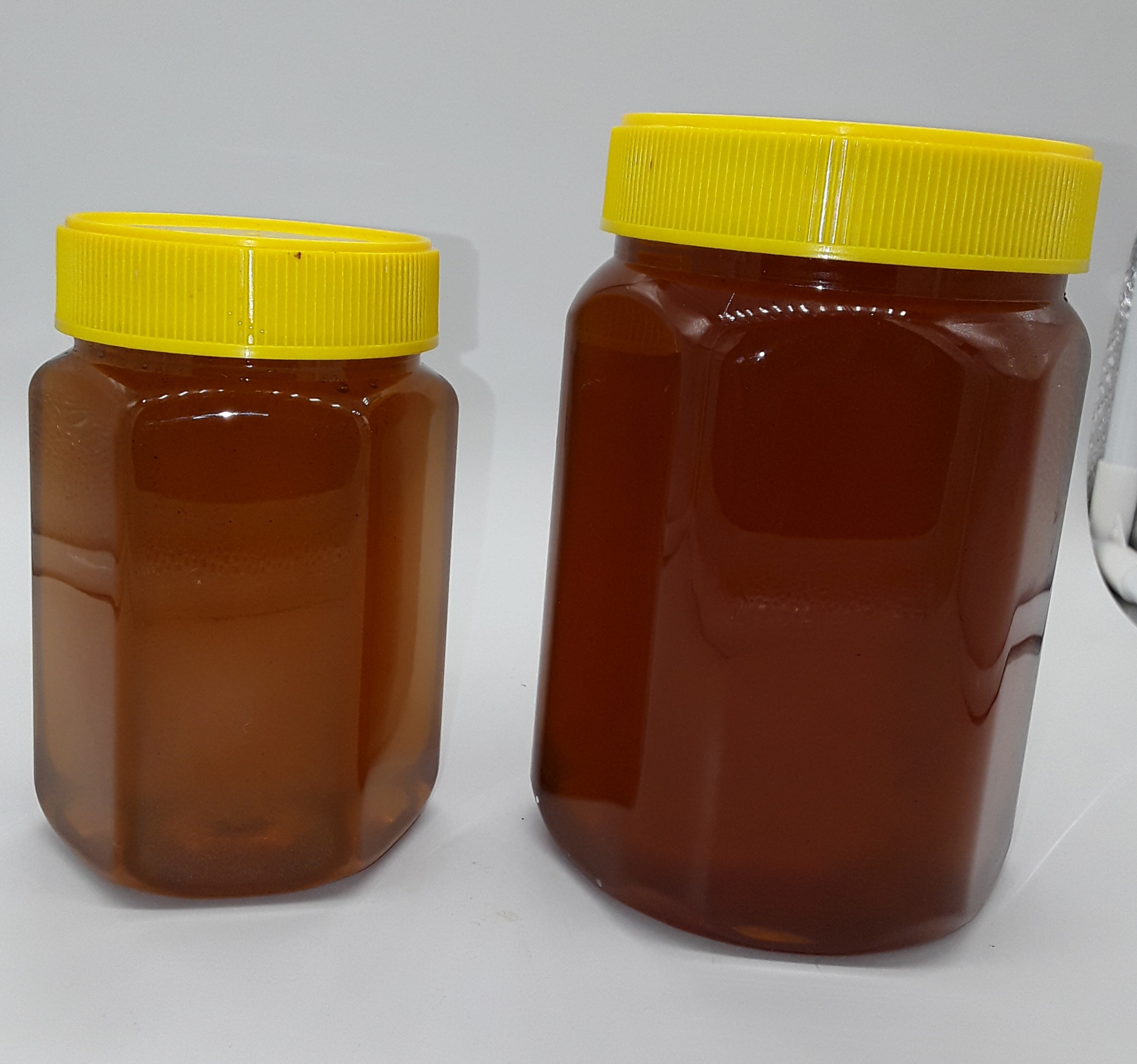 Safeda Natural Honey Packaging: Elongated