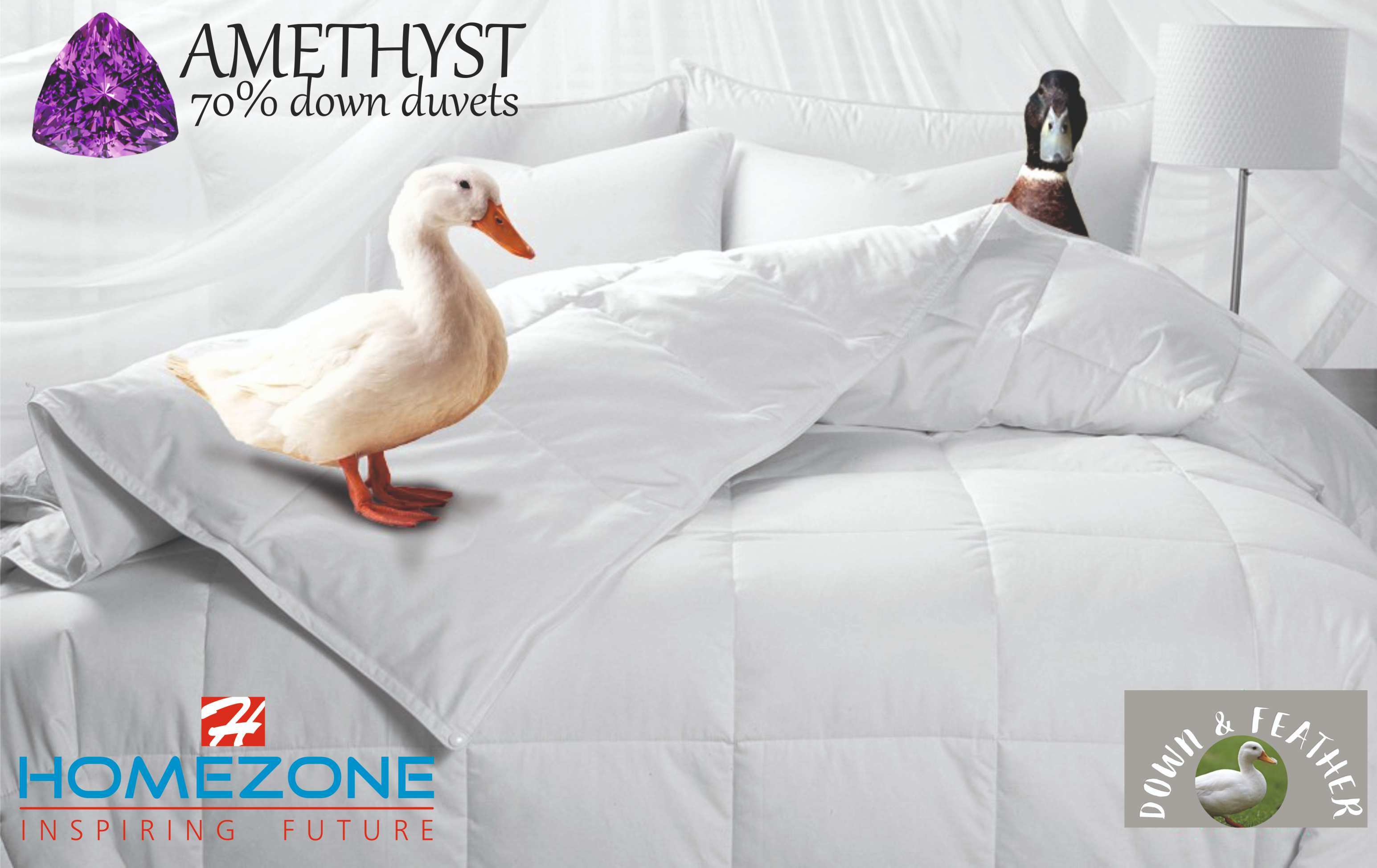 70 Down Duvet Single Size: Queen