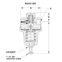 Rego Rg Series Cryogenic Pressure Builder Or Regulator