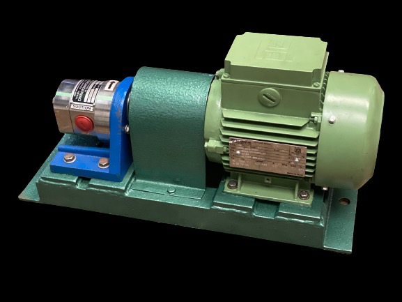 Cast Iron Stainless Steel Gear Pump