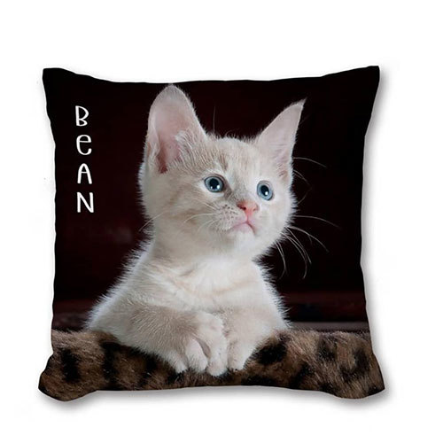 100% कॉटन कस्टमाइज्ड कुशन कवर