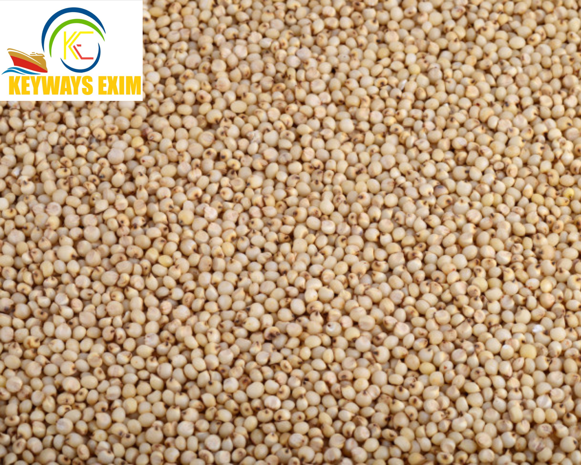 Sorghum Seeds Admixture (%): 2% Max