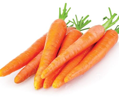 Fresh Carrot