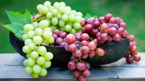 Grapes Fruit