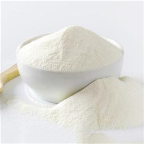 Milk Powder