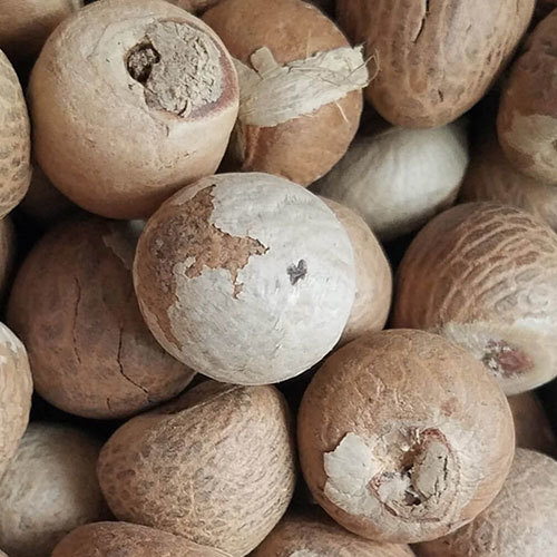 Betel Nut