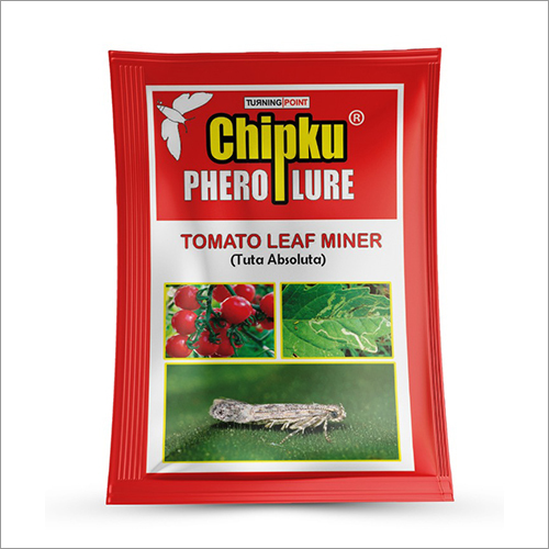 Tomato Leaf Miner (Tuta Absoluta) Pheromone Lure Application: Agriculture