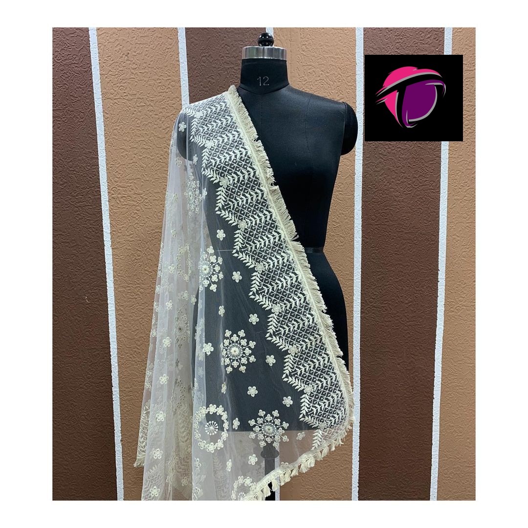 Washable Fancy Net Dupatta
