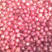 Seasoned Fresh Red Onion
