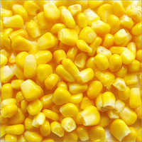 Frozen Sweet Corn - Frozen, Customizable Weight In Kilograms (Kg) | Freshly Harvested, Premium Quality Nutrition