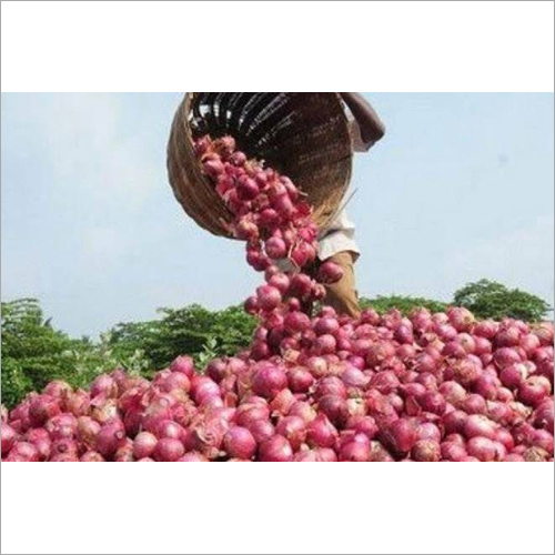 Fresh Red Onion - Natural Shape | Fresh Style, Perfect For Culinary Uses