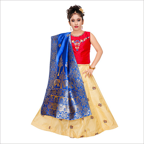 Teenage Girls Ethnic Party Wear Dress