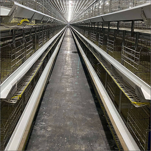 Breeder House Cages Size: Customized