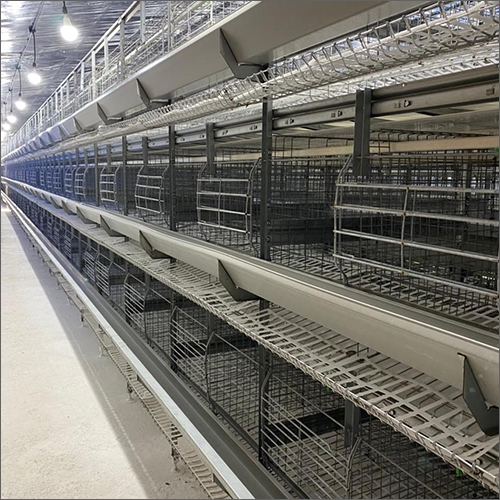 Breeder House Cages Size: Customized