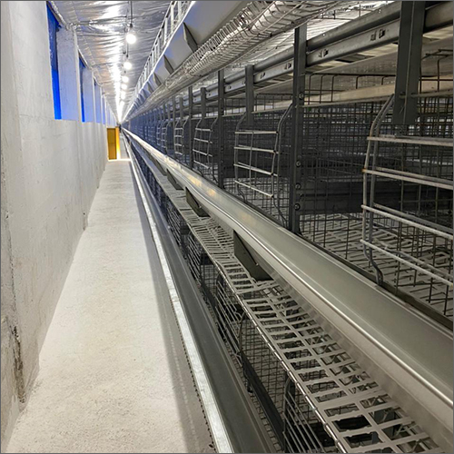 Breeder House Cages Size: Customized